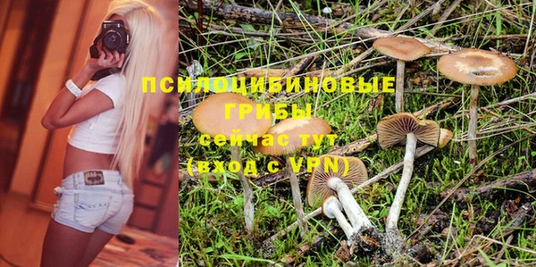 PSILOCYBIN Михайловск