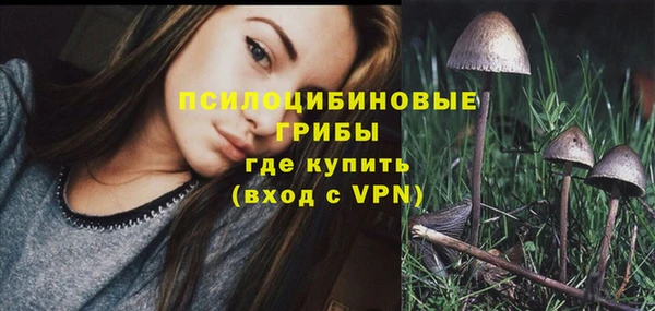 PSILOCYBIN Михайловск